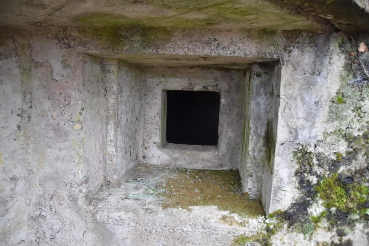 Ligne Maginot - PA DE SIERENTZ OUEST 2 - (Blockhaus pour arme infanterie) - Créneau FM - Daniel Froehly