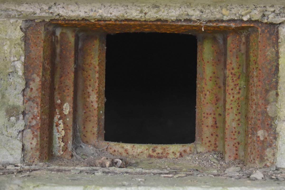 Ligne Maginot - PA DE SIERENTZ OUEST 2 - (Blockhaus pour arme infanterie) - Créneau mitrailleuse - Daniel Froehly