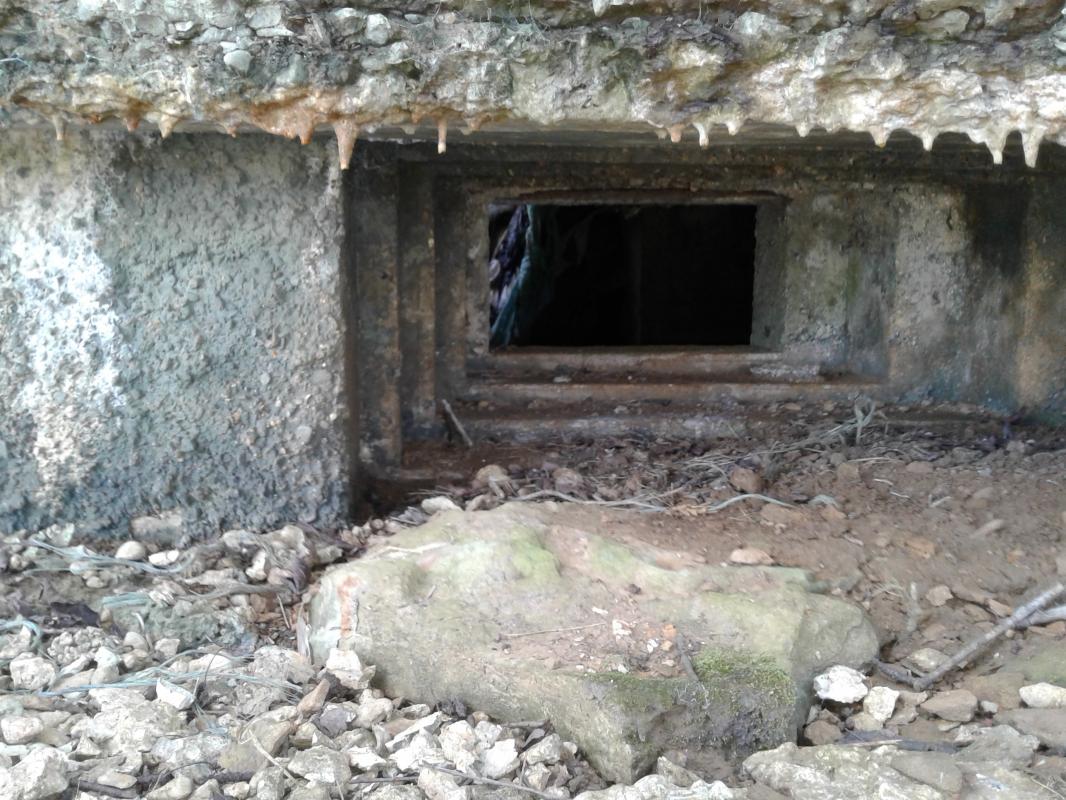 Ligne Maginot - 21TER - LE HA - (Blockhaus pour canon) -  Créneau frontal pour canon AC-25 - F-THOMASSIN