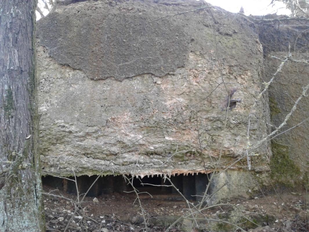 Ligne Maginot - 21TER - LE HA - (Blockhaus pour canon) -     Créneau pour mitrailleuse, flanquant vers l'Est/Nord-Est. Créneau protégé par une visière. - F-THOMASSIN