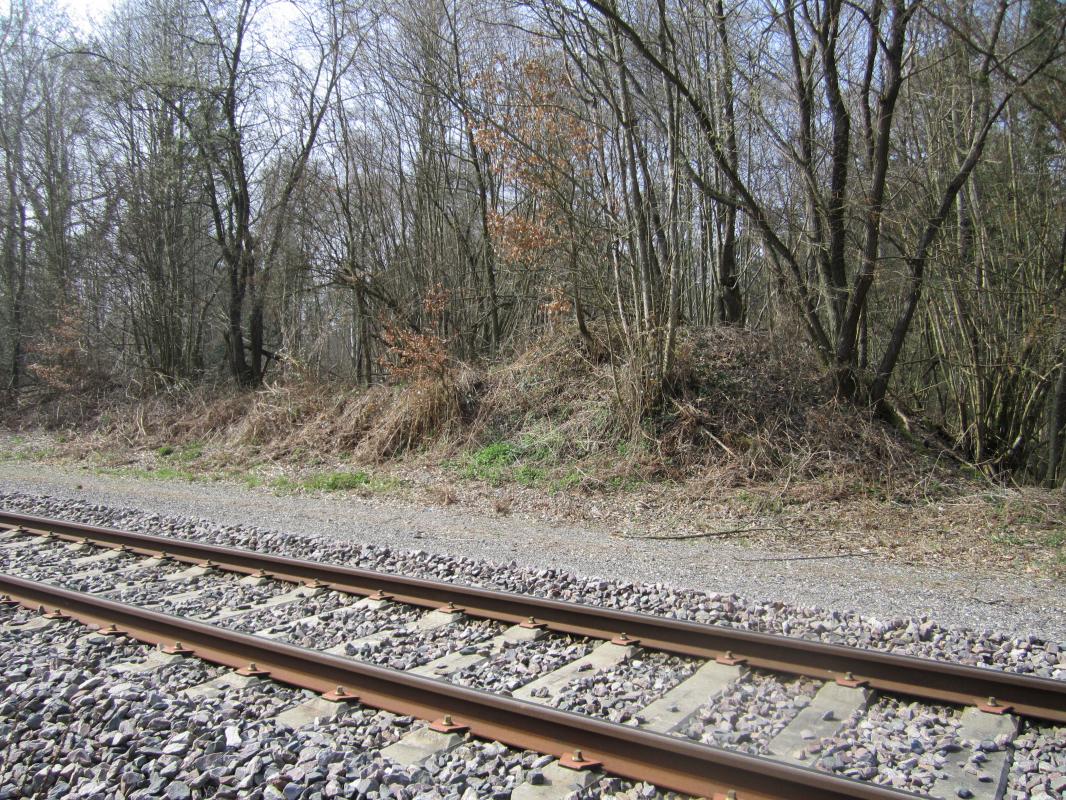 Ligne Maginot - WALBOURG GARE - (Infrastructure ferroviaire) - Vestige d'une rampe - gregfuchs