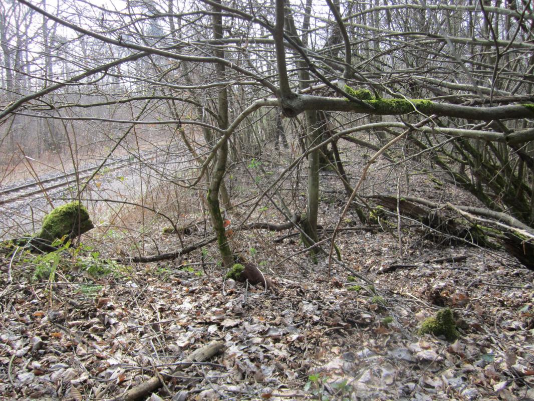 Ligne Maginot - WALBOURG GARE - (Infrastructure ferroviaire) - Vestige d'une rampe - gregfuchs