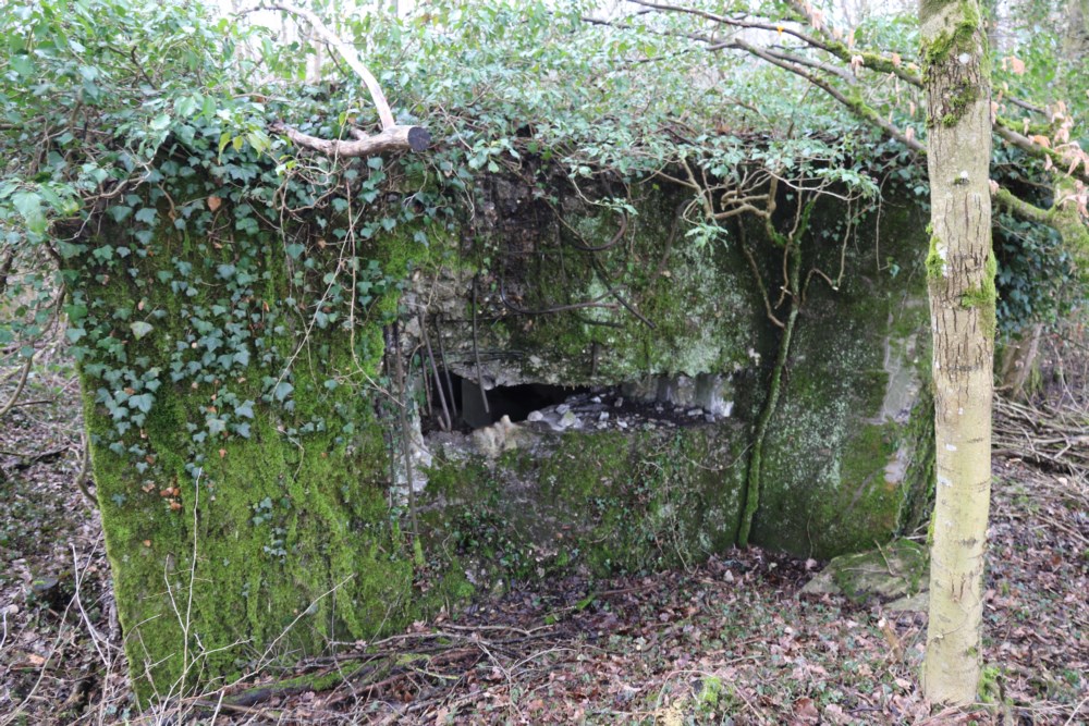 Ligne Maginot - AB31-B - MORTENKRUPP CENTRE - (Blockhaus pour canon) -  - Alain Perouffe