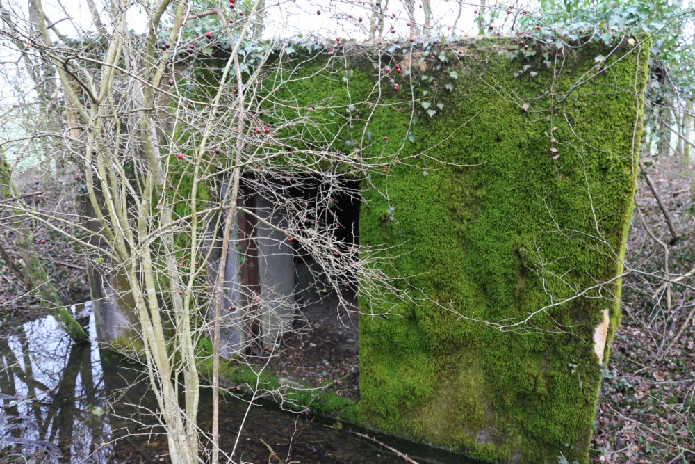 Ligne Maginot - AB31-B - MORTENKRUPP CENTRE - (Blockhaus pour canon) -  - Alain Perouffe