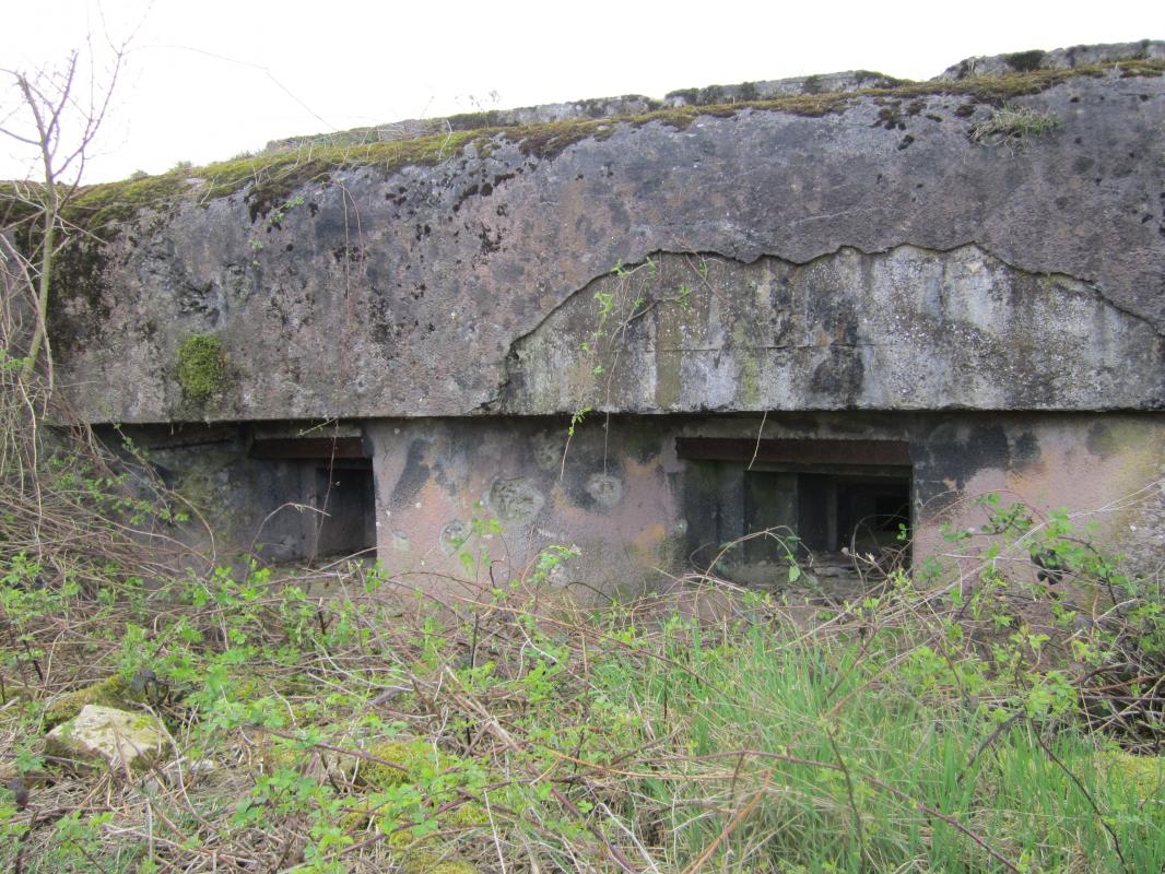 Ligne Maginot - UNTER SCHUSTERPFAD (Blockhaus pour arme infanterie) -  - gregfuchs