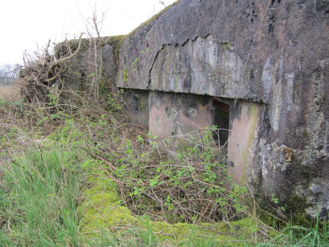 Ligne Maginot - UNTER SCHUSTERPFAD (Blockhaus pour arme infanterie) -  - gregfuchs