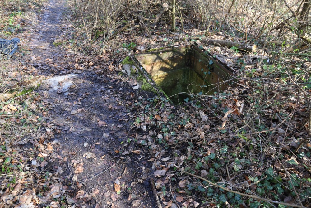 Ligne Maginot - 52A - (Chambre de coupure) -    - Alain Perouffe