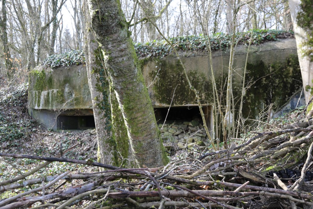 Ligne Maginot - AB6 - (Blockhaus pour canon) -  - Alain Perouffe
