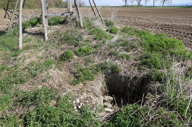 Ligne Maginot - PA DE HOMBOURG 1 - (Cuve pour arme d'infanterie) -  Le bloc vue large.  - Alain Perouffe