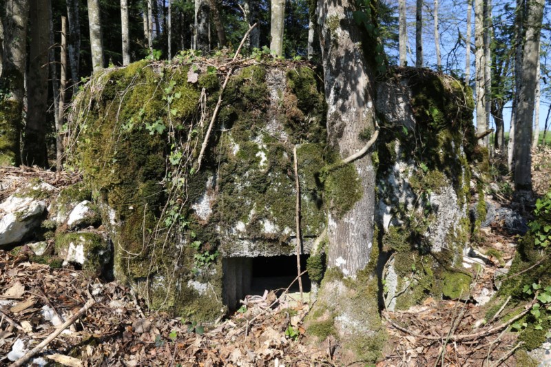 Ligne Maginot - SAEGERKOPF NORD - (Blockhaus pour arme infanterie) -   - Alain Perouffe