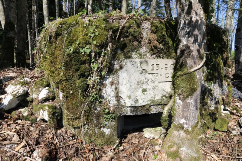 Ligne Maginot - SAEGERKOPF NORD - (Blockhaus pour arme infanterie) -    - Alain Perouffe