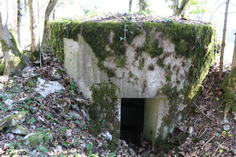Ligne Maginot - SAEGERKOPF NORD - (Blockhaus pour arme infanterie) -     - Alain Perouffe