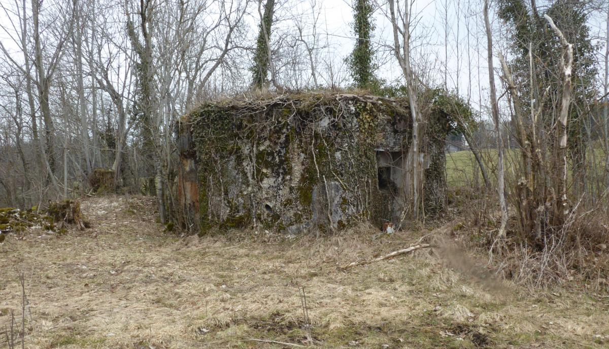 Ligne Maginot - LES CHAZEAUX EST - (Blockhaus de type indeterminé) -    - François VILLARS