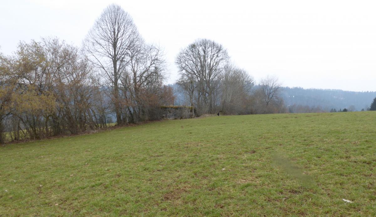 Ligne Maginot - LE PLANOT - (Blockhaus pour arme infanterie) -             - François VILLARS