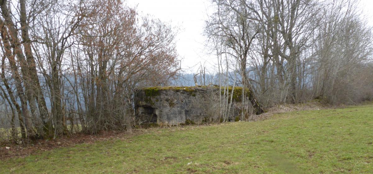 Ligne Maginot - LE PLANOT - (Blockhaus pour arme infanterie) -              - François VILLARS