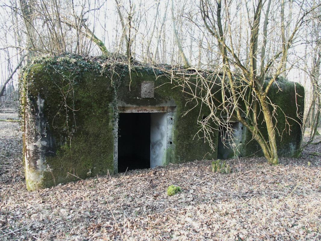 Ligne Maginot - SELTZBACH 2 - (Blockhaus pour canon) -  Le blockhaus vu coté entrées - GRASSER Michel