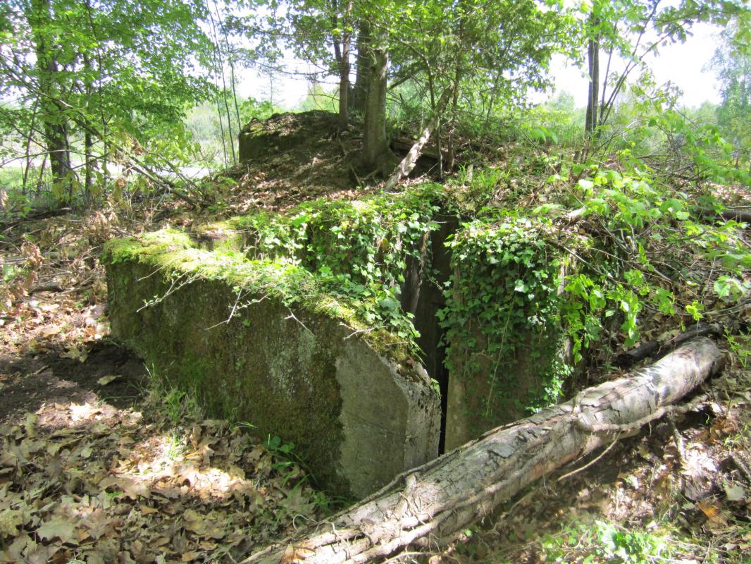 Ligne Maginot - KLOSTERGRABEN 1 - (Blockhaus pour arme infanterie) - L'accès bétonné à l'entrée - gregfuchs