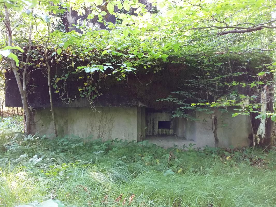 Ligne Maginot - SELTZBACH 6 - (Blockhaus pour arme infanterie) - Façade chambre de tir mitrailleuse - gregfuchs