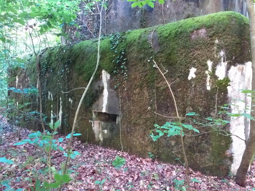 Ligne Maginot - SELTZBACH 6 - (Blockhaus pour arme infanterie) - Façade gauche avec créneau supplémentaire - gregfuchs
