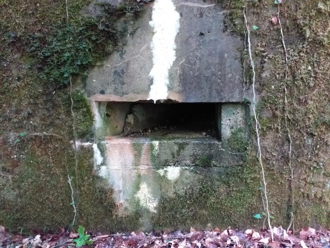 Ligne Maginot - SELTZBACH 6 - (Blockhaus pour arme infanterie) - Créneau supplémentaire - détail de la 'réduction' - gregfuchs