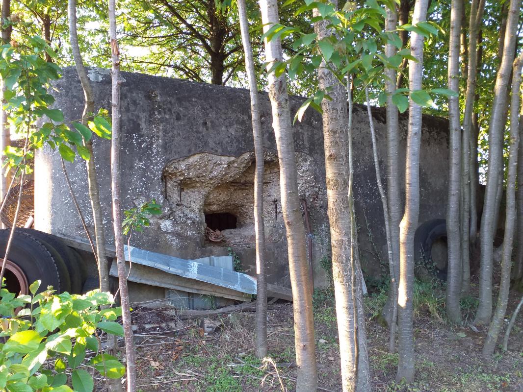 Ligne Maginot - OBERSEEBACH EST - (Blockhaus pour canon) - Façade créneau sud-est - gregfuchs