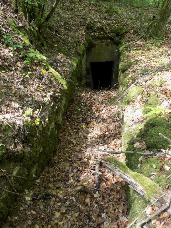 Ligne Maginot - LA VIGNETTE (1°BON 136°RIF) - (PC de Quartier) -     L'entrée est - R Tucker