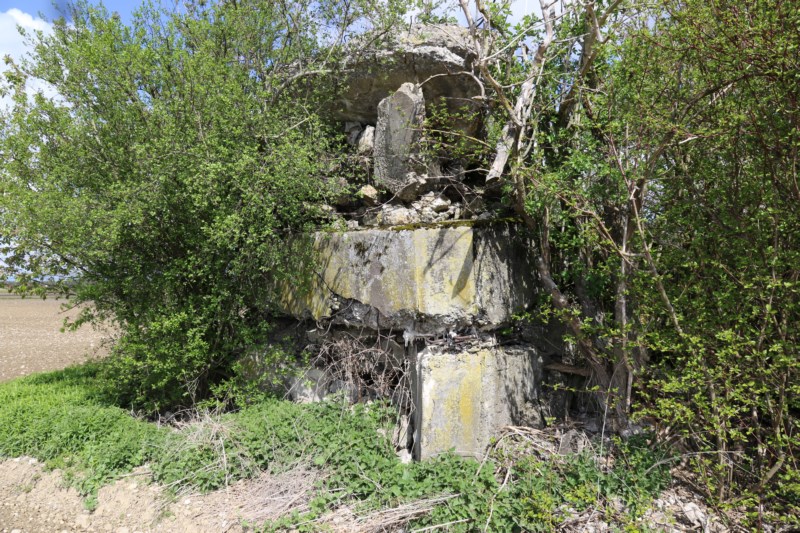 Ligne Maginot - BUTENHEIM SUD - (Blockhaus pour arme infanterie) - Face Sud
 - Alain Perouffe