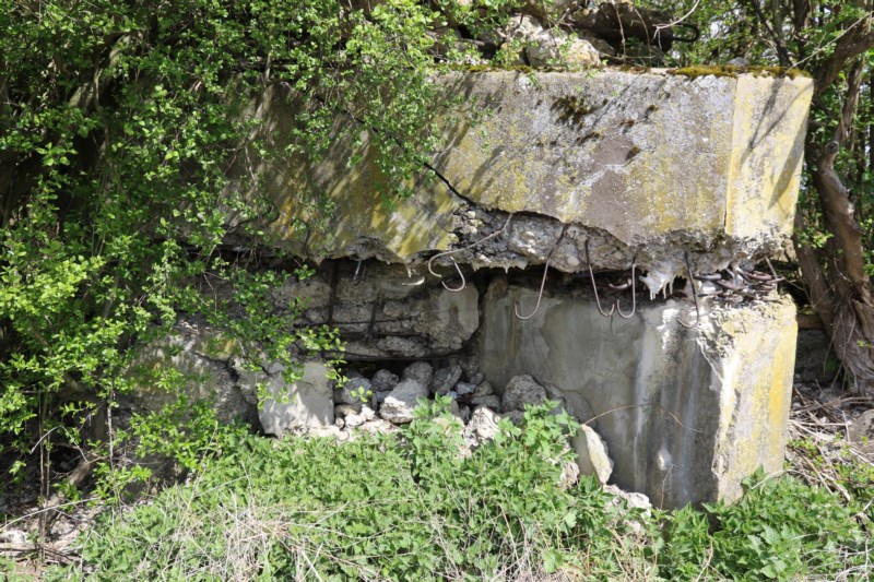 Ligne Maginot - BUTENHEIM SUD - (Blockhaus pour arme infanterie) -  Face Sud
 - Alain Perouffe