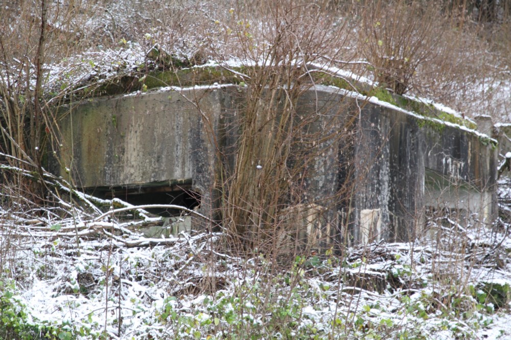 Ligne Maginot - CB4 - (Blockhaus pour canon) -  - Alain Perouffe