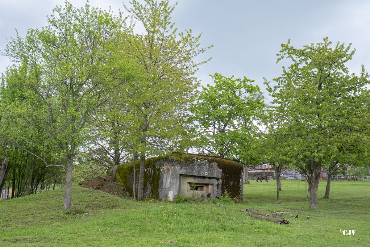 Ligne Maginot - M16 - NEHWILLER - (Blockhaus pour arme infanterie) -                        - Lia VERMEULEN