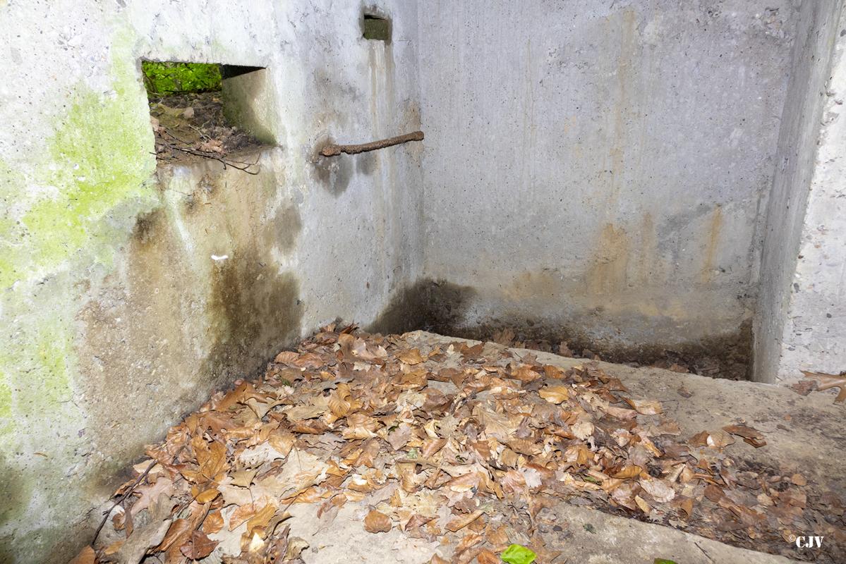 Ligne Maginot - OBERWALD - (Blockhaus pour arme infanterie) -       - Lia VERMEULEN