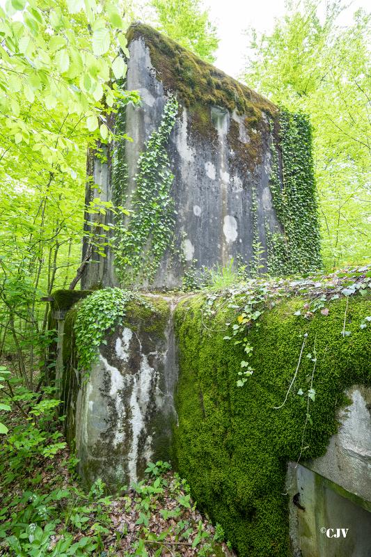 Ligne Maginot - SELTZBACH 6 - (Blockhaus pour arme infanterie) -        - Lia VERMEULEN