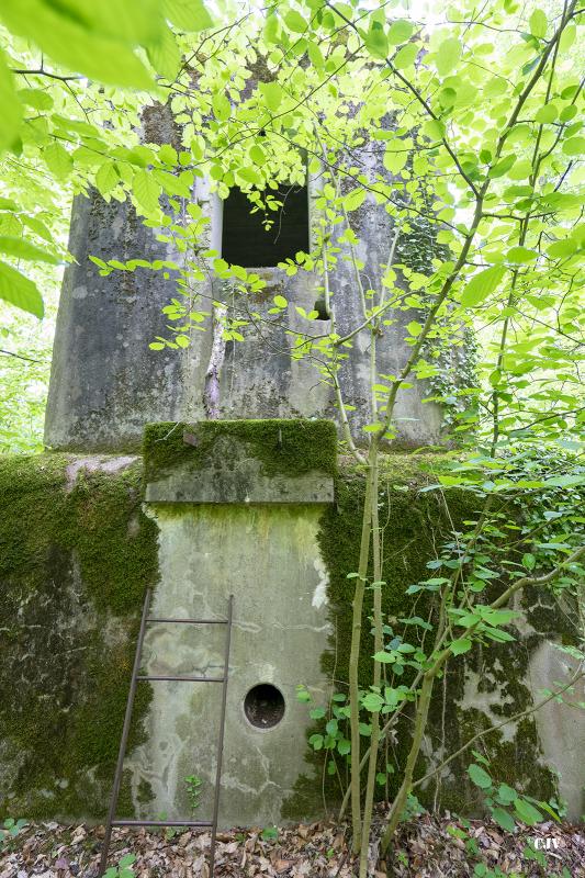 Ligne Maginot - SELTZBACH 6 - (Blockhaus pour arme infanterie) -         - Lia VERMEULEN