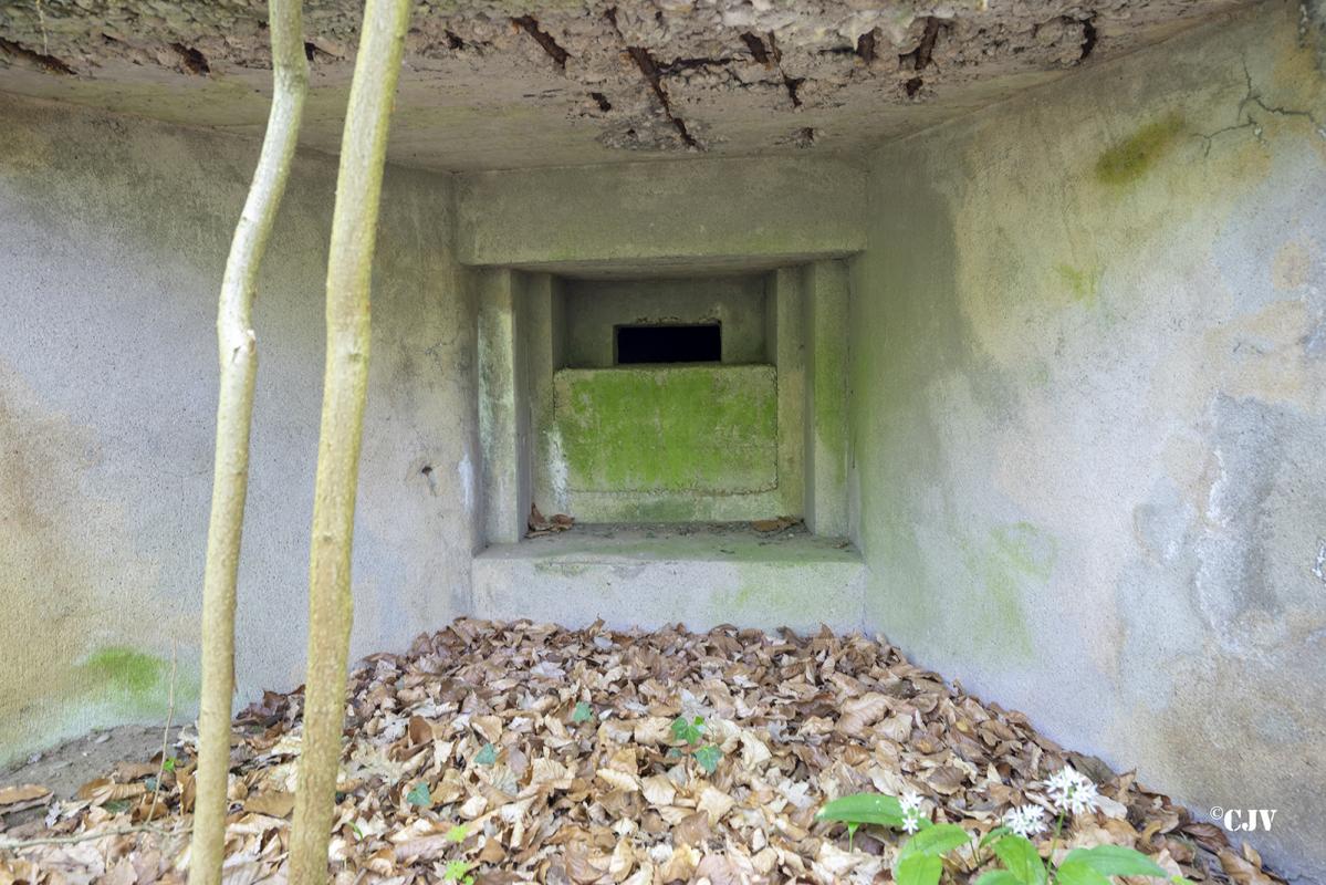 Ligne Maginot - SELTZBACH 6 - (Blockhaus pour arme infanterie) -          - Lia VERMEULEN