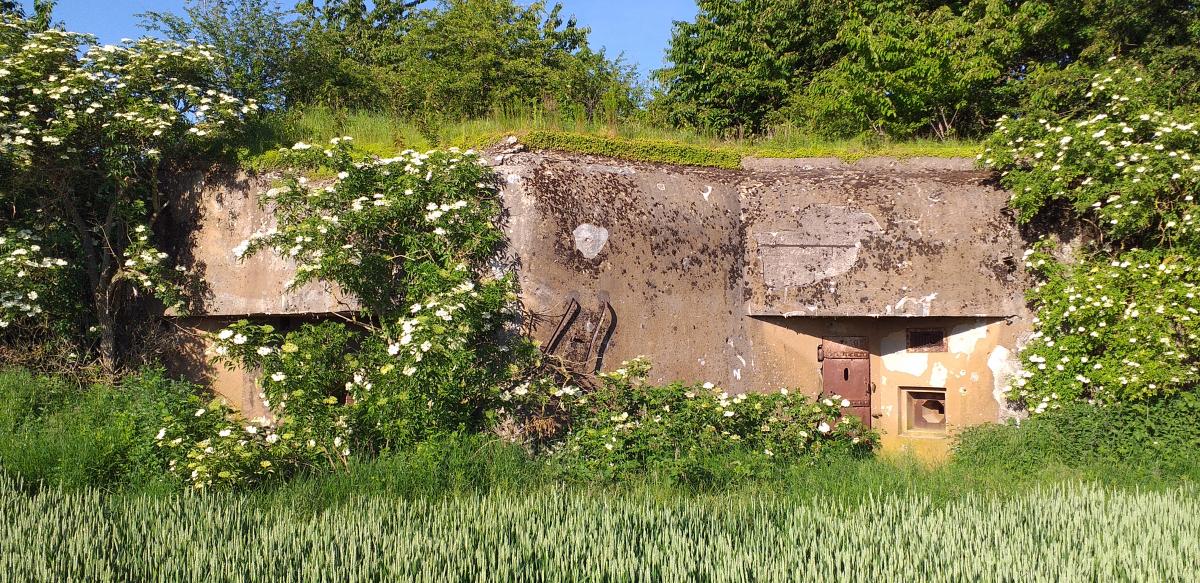 Ligne Maginot - ASCHBACH OUEST - (Casemate d'infanterie - Simple) - Vue générale  - Gregory Fuchs
