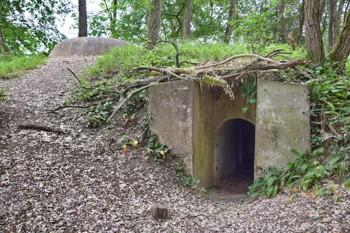 Ligne Maginot - WIDENSOLEN CANAL 1 - (Blockhaus pour arme infanterie) - L'entré et la coupole - Daniel Froehly