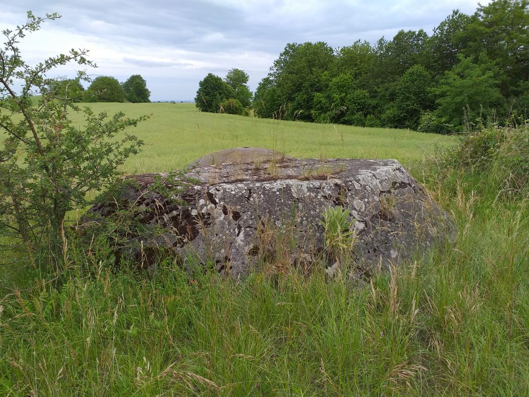 Ligne Maginot - BOIS de HOFFEN Ouest ( Casemate d'infanterie ) - Massif bétonné protégeant l'arrière de la cloche GFM - Gregory Fuchs