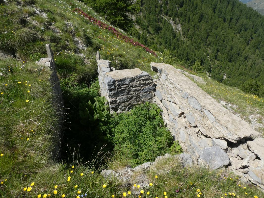 Ligne Maginot - COL DE RAUS - C3 - (Cuve pour arme d'infanterie) -  - ELLENA - CUNY