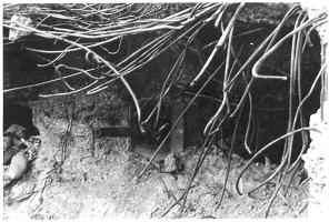 Ligne Maginot - WELSCHHOF - (Ouvrage d'infanterie) - Bloc 1
Le créneau du canon de 47mm de l'entrée de l'ouvrage après les combats