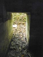 Ligne Maginot - CB443 - BOIS KARRE 7 - (Blockhaus pour arme infanterie) - 