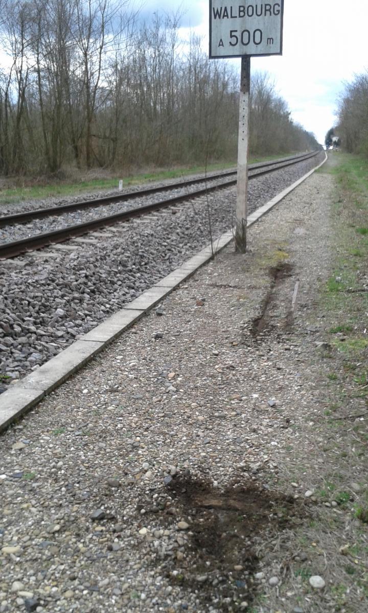 Ligne Maginot - WALBOURG GARE - (Infrastructure ferroviaire) - Vestiges d'un dispositif annexe probablement de signalisation - JAEGER Marc