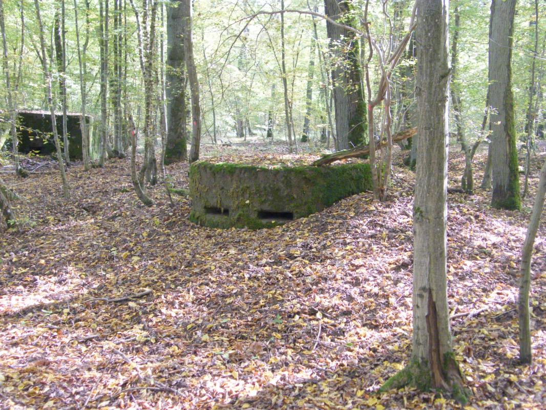 Ligne Maginot - CB443-A - BOIS KARRE 6 - (Observatoire d'infanterie) -  - Jean-Louis AUBLET & Sylvie MAINGUIN