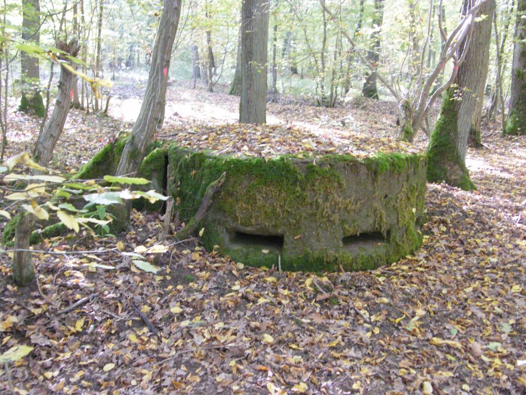 Ligne Maginot - CB443-A - BOIS KARRE 6 - (Observatoire d'infanterie) -  - Jean-Louis AUBLET & Sylvie MAINGUIN