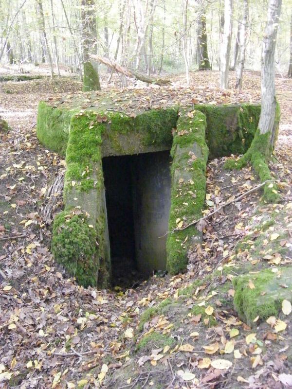 Ligne Maginot - CB443-A - BOIS KARRE 6 - (Observatoire d'infanterie) -  - Jean-Louis AUBLET & Sylvie MAINGUIN