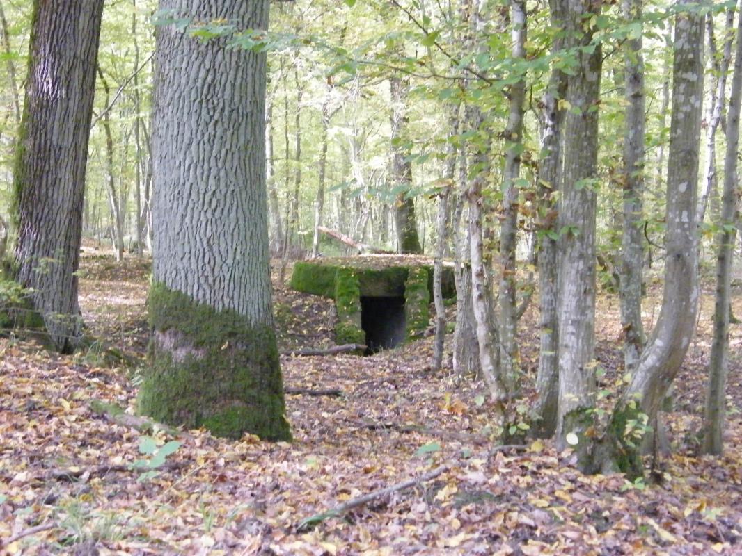Ligne Maginot - CB443-A - BOIS KARRE 6 - (Observatoire d'infanterie) -  - Jean-Louis AUBLET & Sylvie MAINGUIN