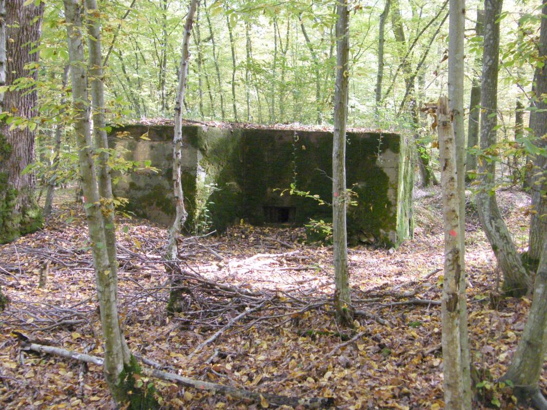 Ligne Maginot - CB443 - BOIS KARRE 7 - (Blockhaus pour arme infanterie) -  - Jean-Louis AUBLET & Sylvie MAINGUIN