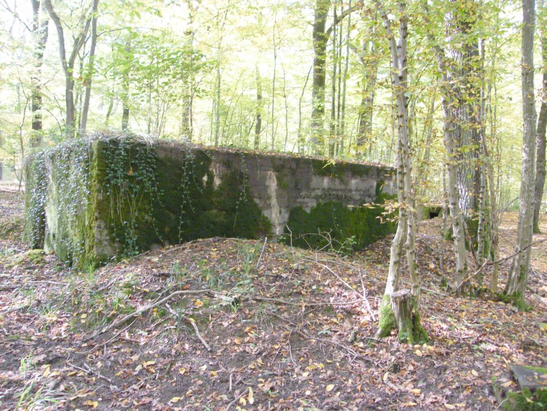 Ligne Maginot - CB443 - BOIS KARRE 7 - (Blockhaus pour arme infanterie) -  - Jean-Louis AUBLET & Sylvie MAINGUIN