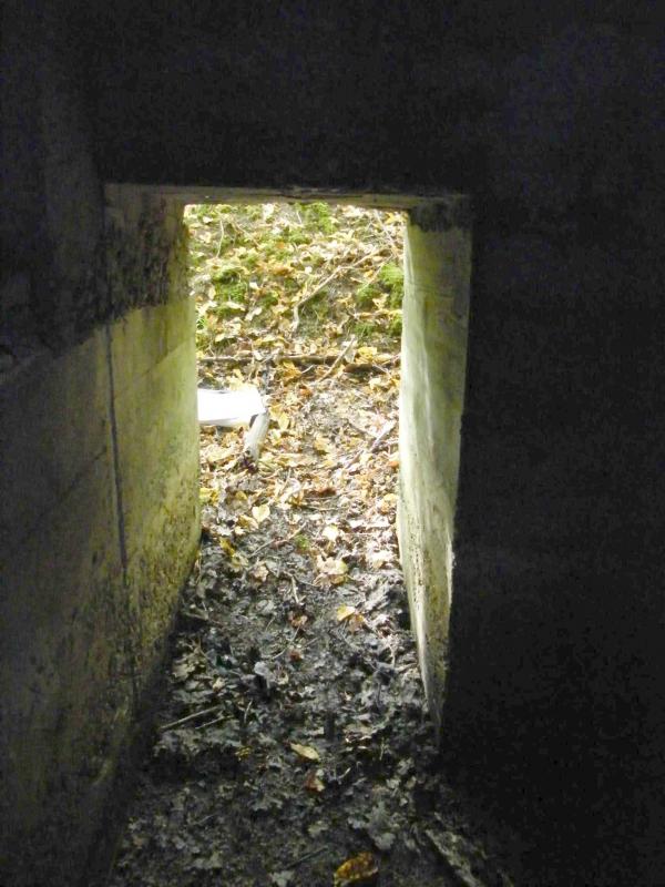 Ligne Maginot - CB443 - BOIS KARRE 7 - (Blockhaus pour arme infanterie) -  - Jean-Louis AUBLET & Sylvie MAINGUIN