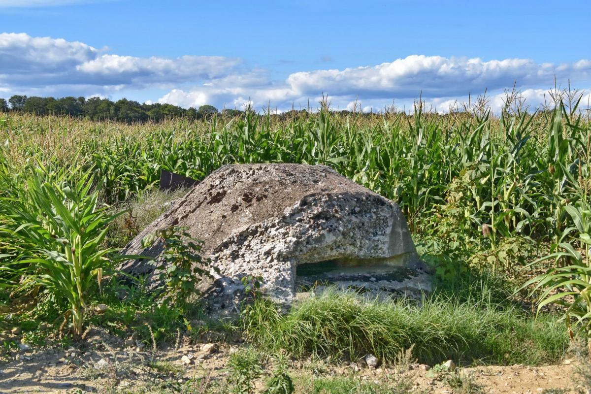Ligne Maginot - VALDIEU-LUTRAN 4 - (Blockhaus pour arme infanterie) - La coupole - Daniel Froehly