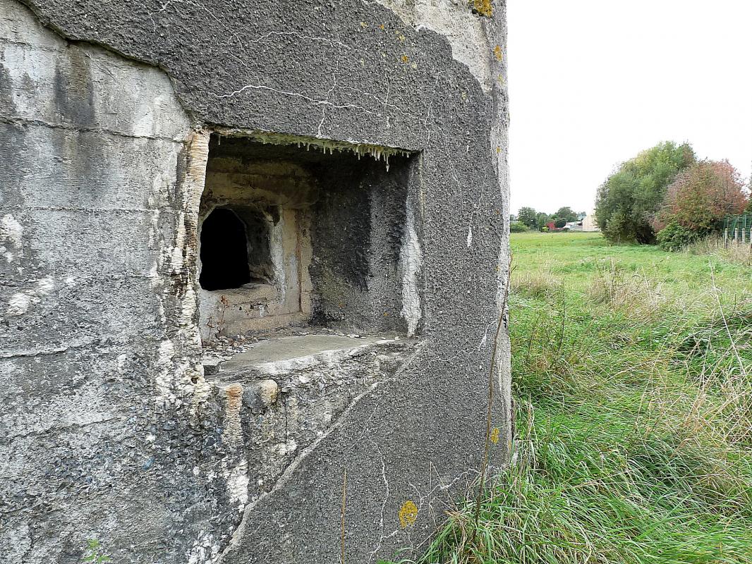 Ligne Maginot - B445 - LA VOIE-NOIRE - (Blockhaus pour canon) -  - Sylvie Laure LAMBERT